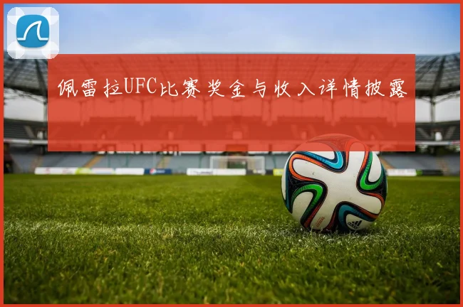 佩雷拉UFC比赛奖金与收入详情披露