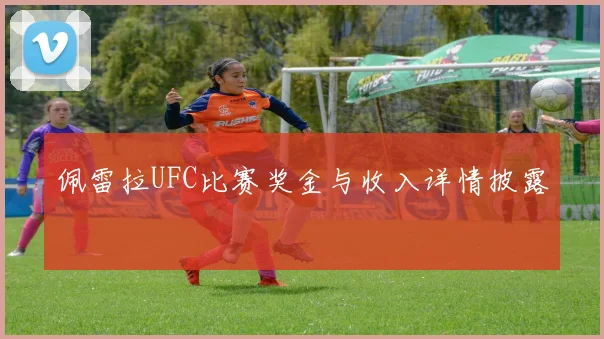 佩雷拉UFC比赛奖金与收入详情披露