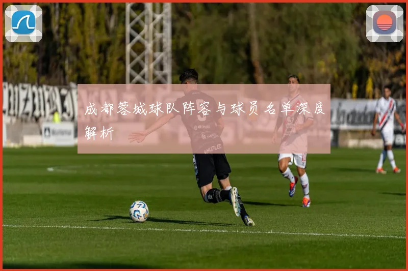 成都蓉城球队阵容与球员名单深度解析