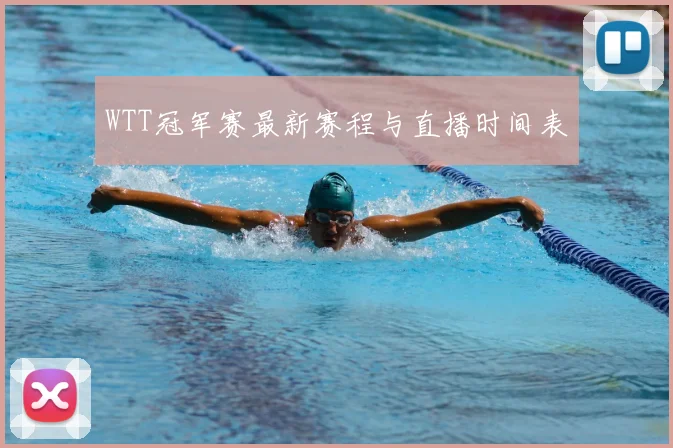 WTT冠军赛最新赛程与直播时间表
