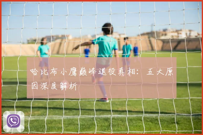 哈比布小鹰巅峰退役真相：五大原因深度解析